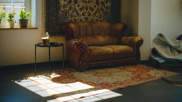 Brown sofa and a patterned rug beside a sunlit living-room window