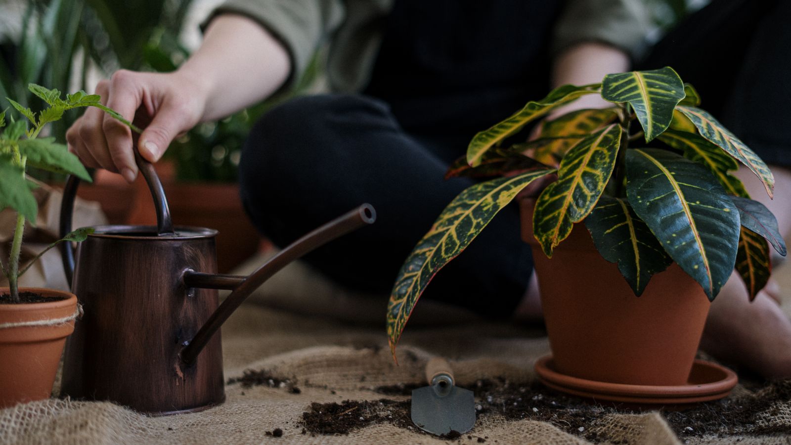 A person tending potted plants with a metal indoor watering can, a terracotta pot and a small hand trowel.